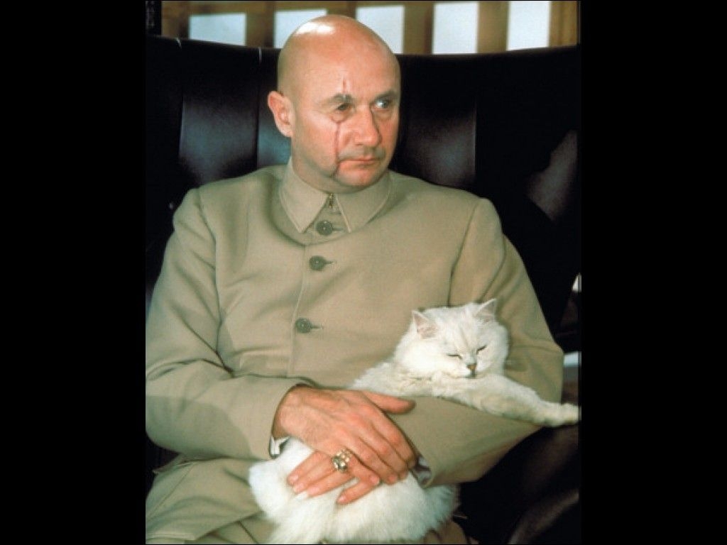 Photo d'un des films de james bond.
C'est l'antagoniste de James Bond, Blofeld, assit sur un magnifique fauteuil en cuir un un chat blanc qui fait la sieste. Photo d'un des films de james bond.
C'est l'antagoniste de James Bond, Blofeld, assit sur un magnifique fauteuil en cuir un un chat blanc qui fait la sieste.