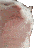 catjam