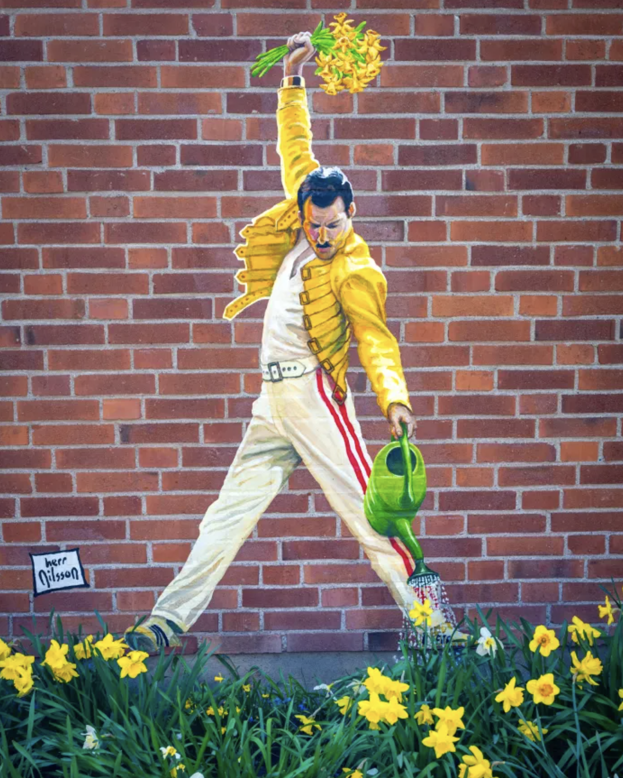 Herr Nilsson’s cutout of Freddie Mercury in a yellow jacket holding a bouquet and watering can above real daffodils in Stockholm Herr Nilsson’s cutout of Freddie Mercury in a yellow jacket holding a bouquet and watering can above real daffodils in Stockholm