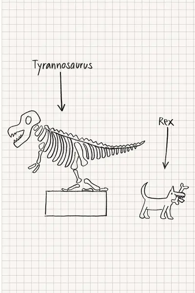 Une des publicités "Chère Mobilière". Il s'agit d'un schéma de sinistre sous forme d'un dessin en bonhomme allumette. Il représente un fossile de dinosaure sur un socle, qui comporte en-dessus le nom "Tyrannosaurus". Il lui manque un os à la patte. A côté, on a dessiné un chien qui s'éloigne avec un os. Au-dessus est écrit "Rex". Une des publicités "Chère Mobilière". Il s'agit d'un schéma de sinistre sous forme d'un dessin en bonhomme allumette. Il représente un fossile de dinosaure sur un socle, qui comporte en-dessus le nom "Tyrannosaurus". Il lui manque un os à la patte. A côté, on a dessiné un chien qui s'éloigne avec un os. Au-dessus est écrit "Rex".
