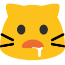 meow_drool