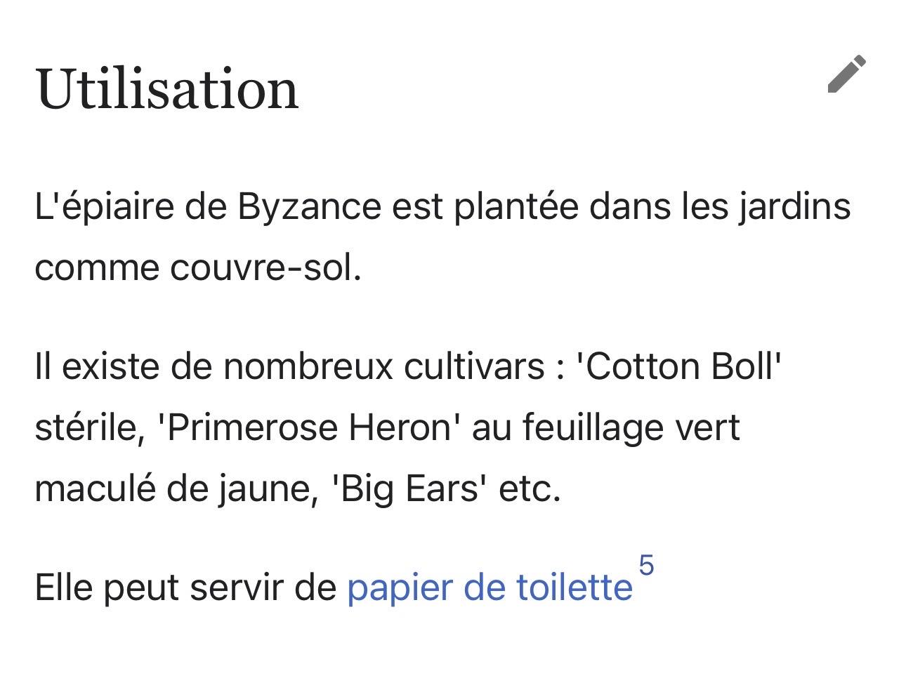 « Utilisation
L'épiaire de Byzance est plantée dans les jardins comme couvre-sol.
Il existe de nombreux cultivars : 'Cotton Boll' stérile, 'Primerose Heron' au feuillage vert maculé de jaune, 'Big Ears' etc.
Elle peut servir de papier de toilette. « Utilisation
L'épiaire de Byzance est plantée dans les jardins comme couvre-sol.
Il existe de nombreux cultivars : 'Cotton Boll' stérile, 'Primerose Heron' au feuillage vert maculé de jaune, 'Big Ears' etc.
Elle peut servir de papier de toilette.