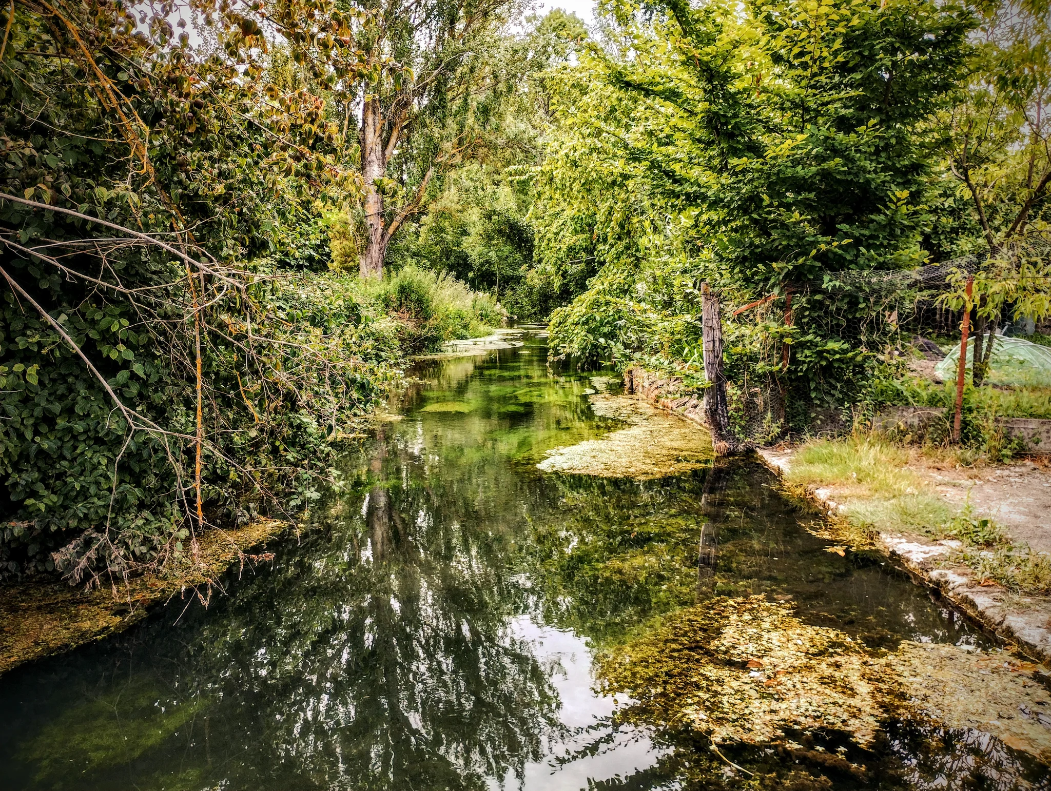 Rivière communale avec beaucoup de végétation Rivière communale avec beaucoup de végétation