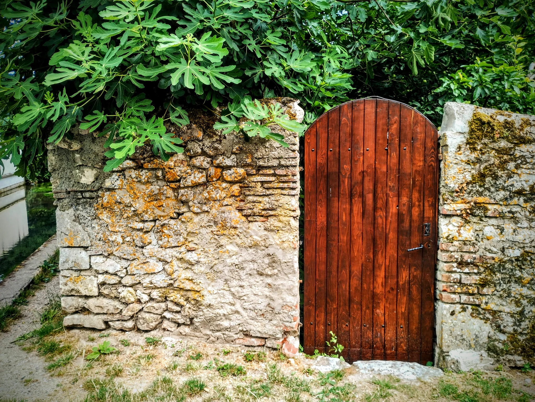 Porte en bois d'un jardin au bord d'une rivière Porte en bois d'un jardin au bord d'une rivière