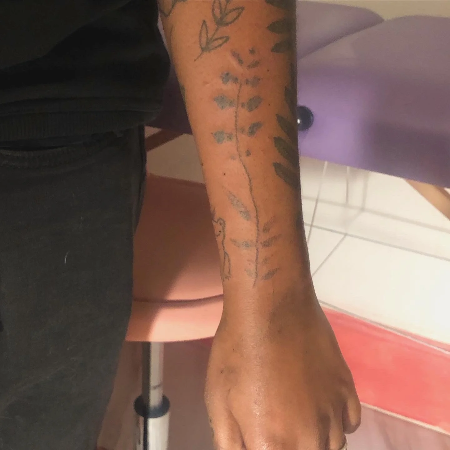 Des plantes, tatouées le long d'un bras Des plantes, tatouées le long d'un bras